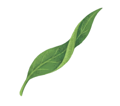 網站圖素-01