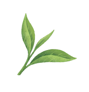 網站圖素-03
