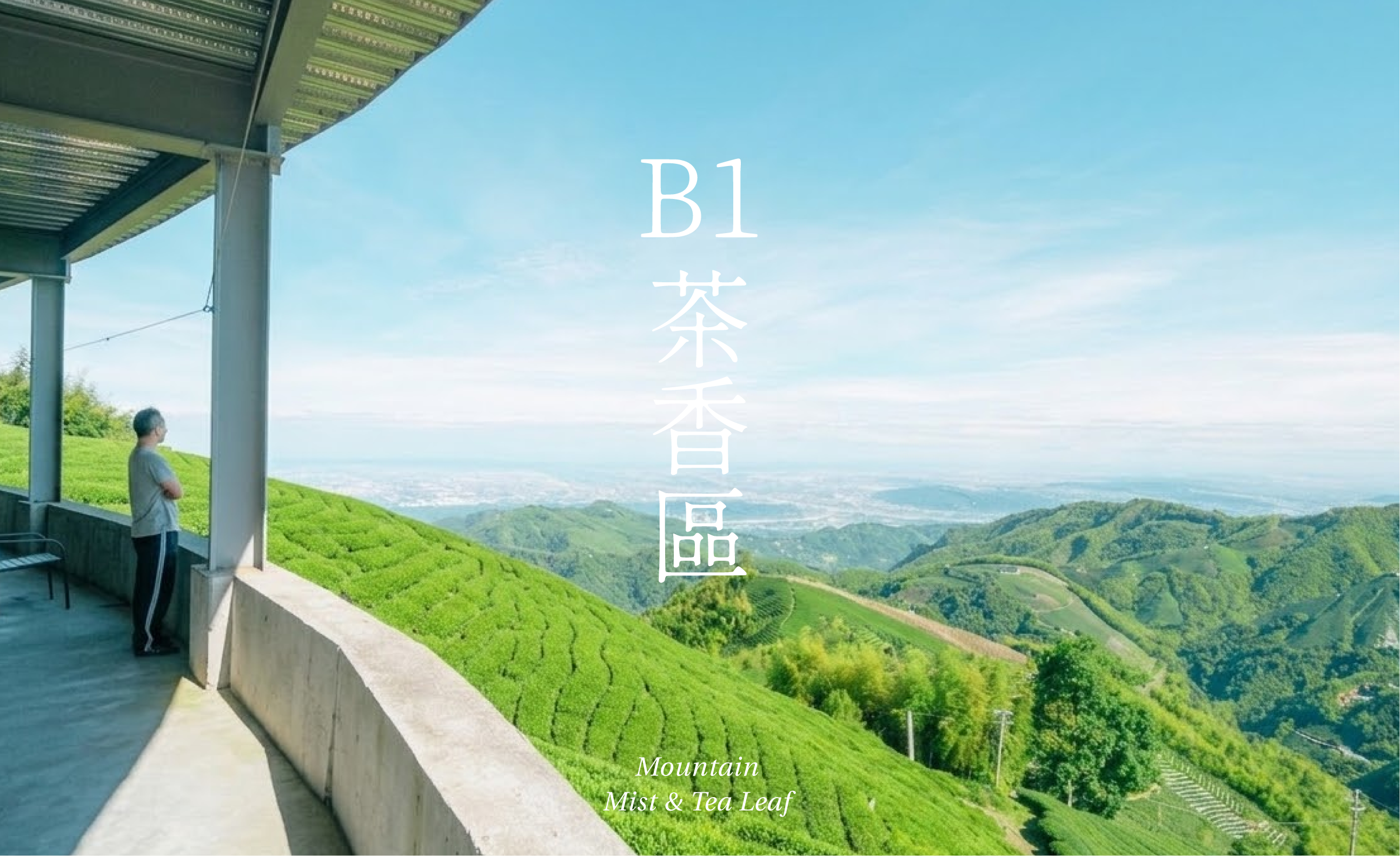 茶香區大圖