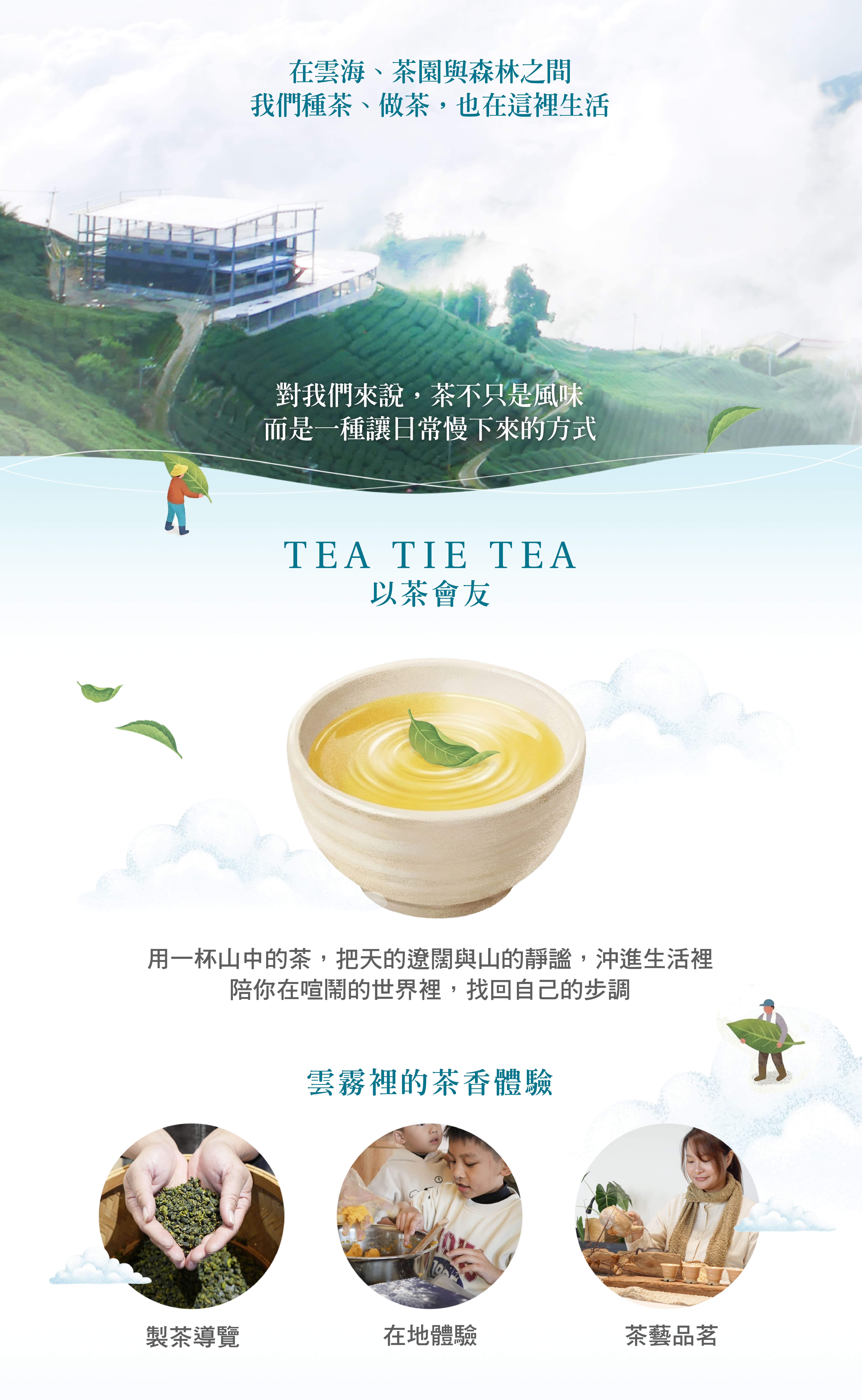  | 天山水茗茶｜南投竹山高山茶・茶莊導覽・品茗體驗・親子體驗