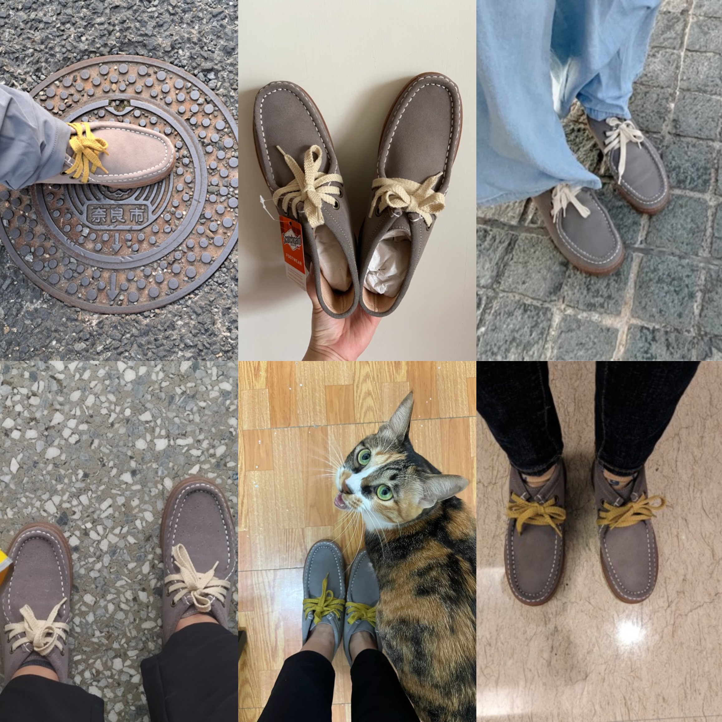 PhotoGrid_1765373894710