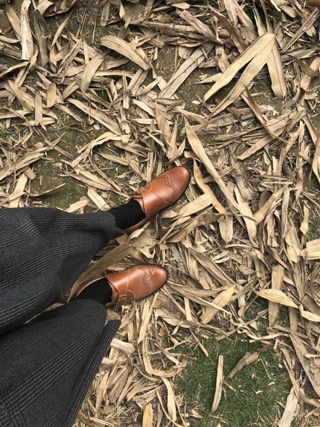 Shopee_b5a44bc501f62177edfbed543d75fc7e