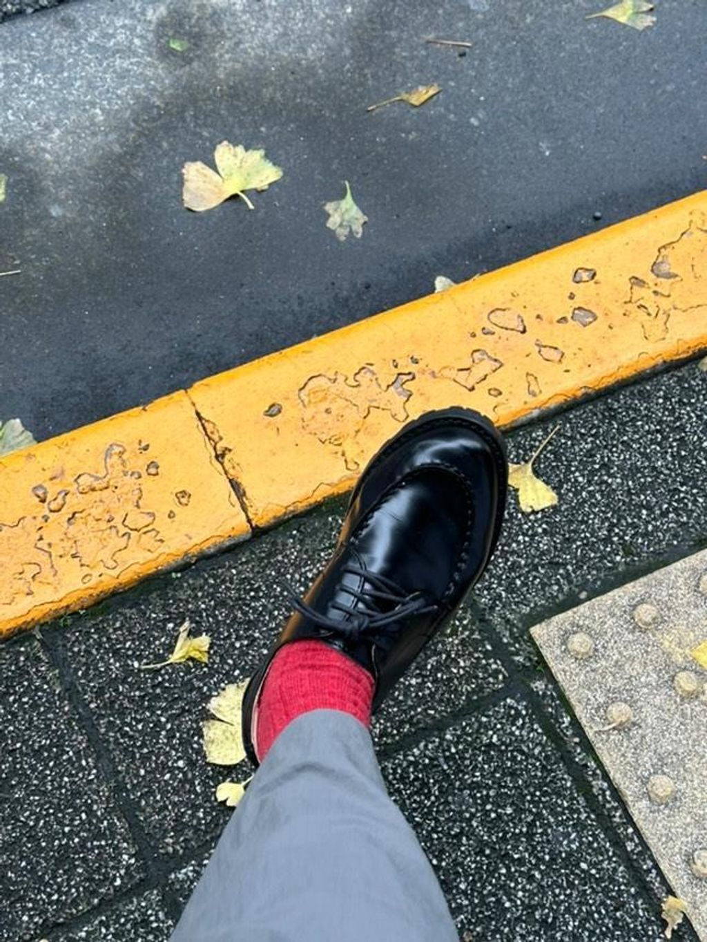 IMG_20241031_121747_771