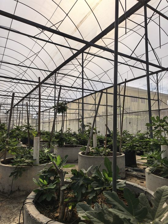 Our Farm | TerraKota Farm