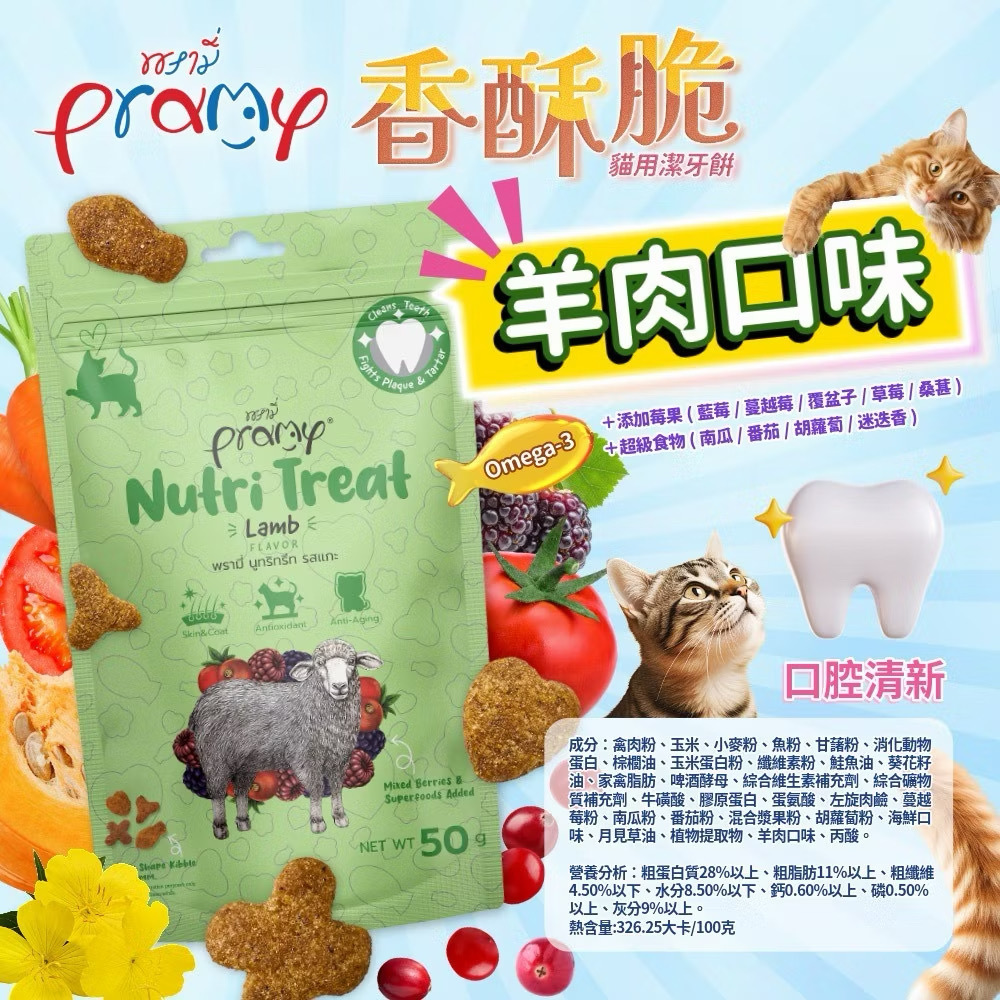 image_DF1A68E2-6625-4AE7-AEFF-CEA9FCF2BD33_1774023523