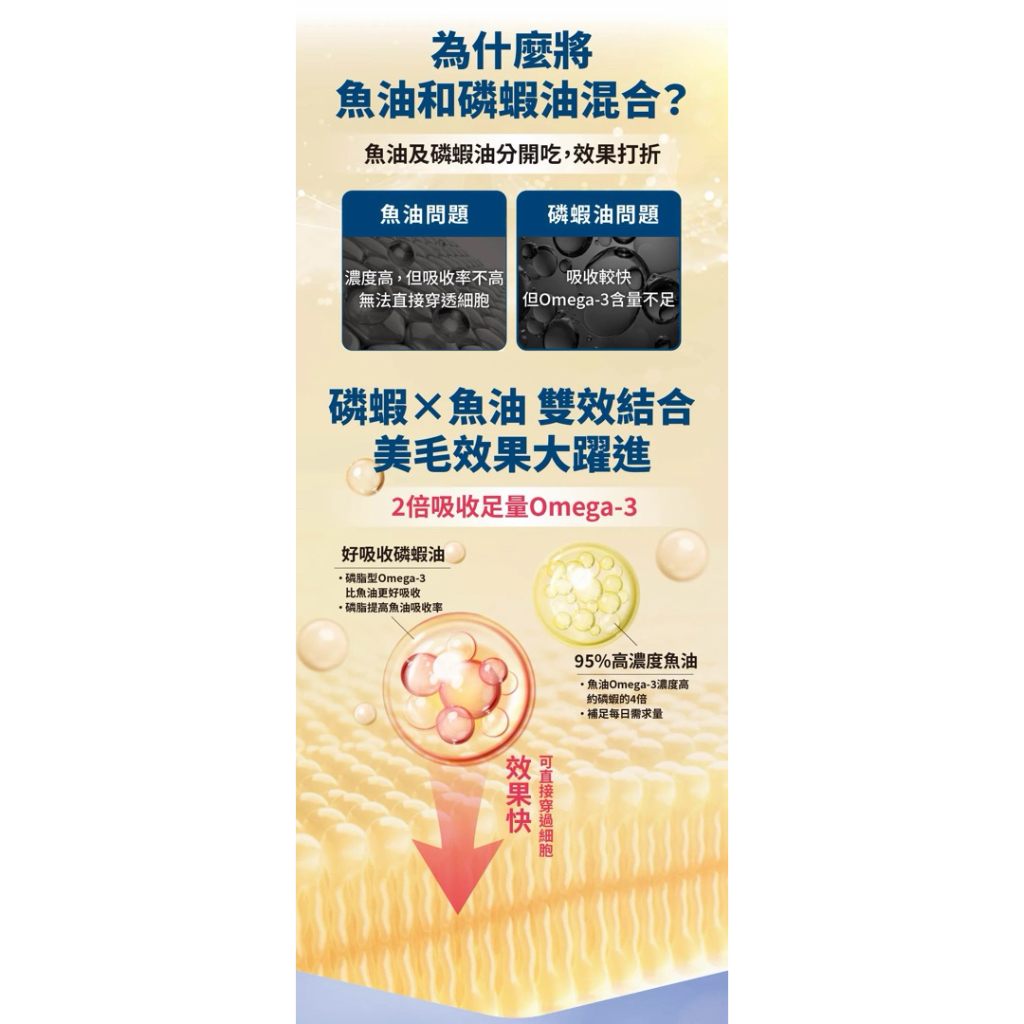 tw-11134207-81ztp-mhj8uubjkjr7dc