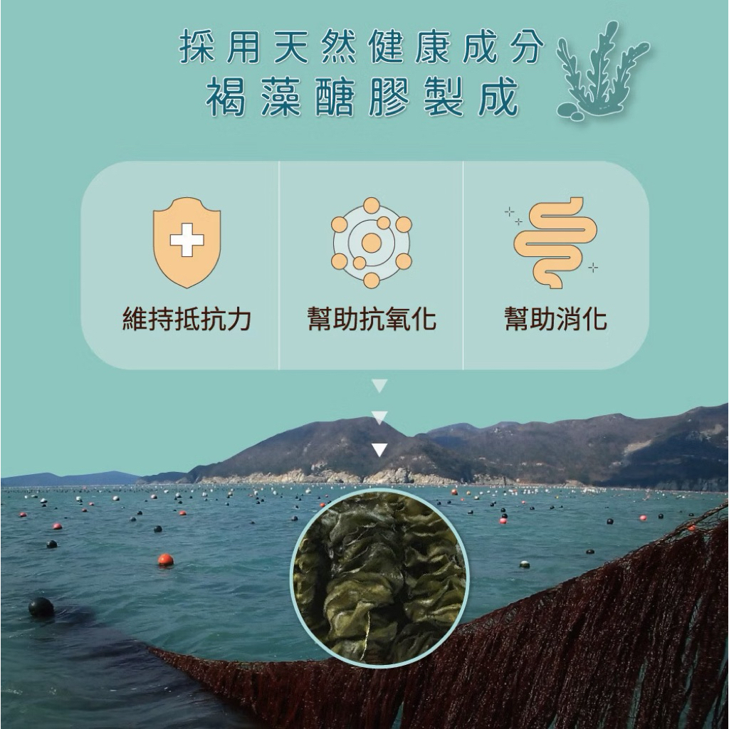 tw-11134207-81ztm-mh0pl2o3y9l845