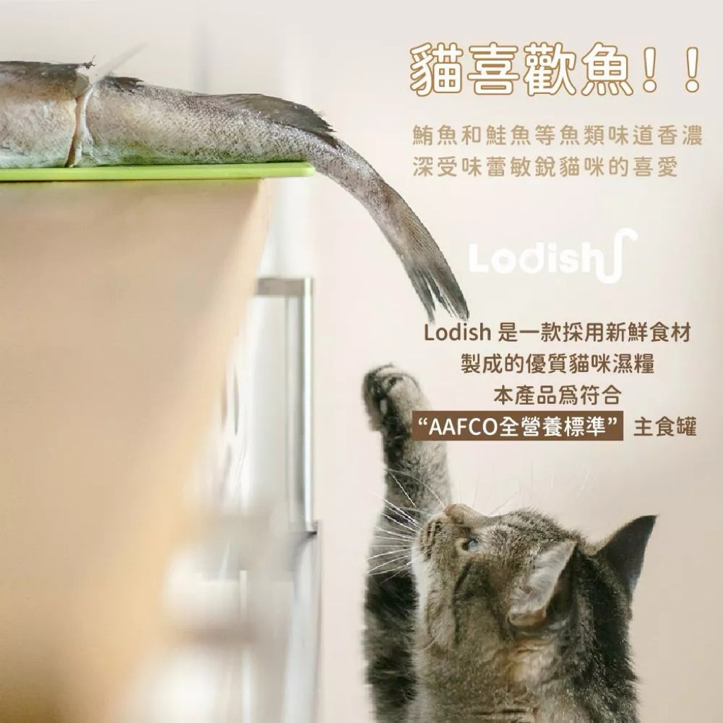 tw-11134207-81ztc-mh25zu9vmmtkc8