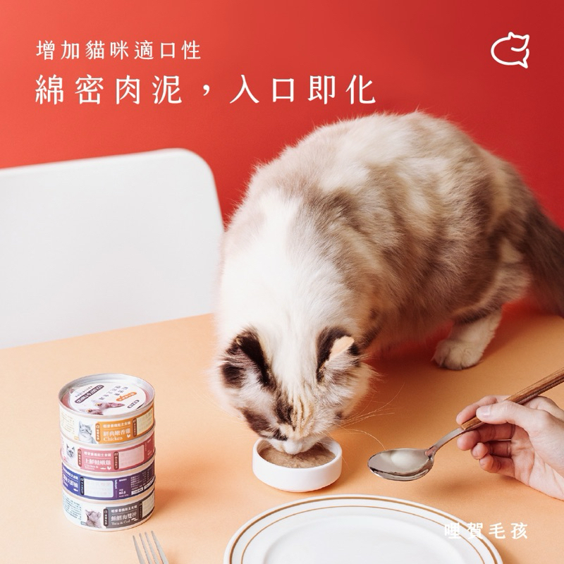 tw-11134207-7r98r-m02q2wilqd4723