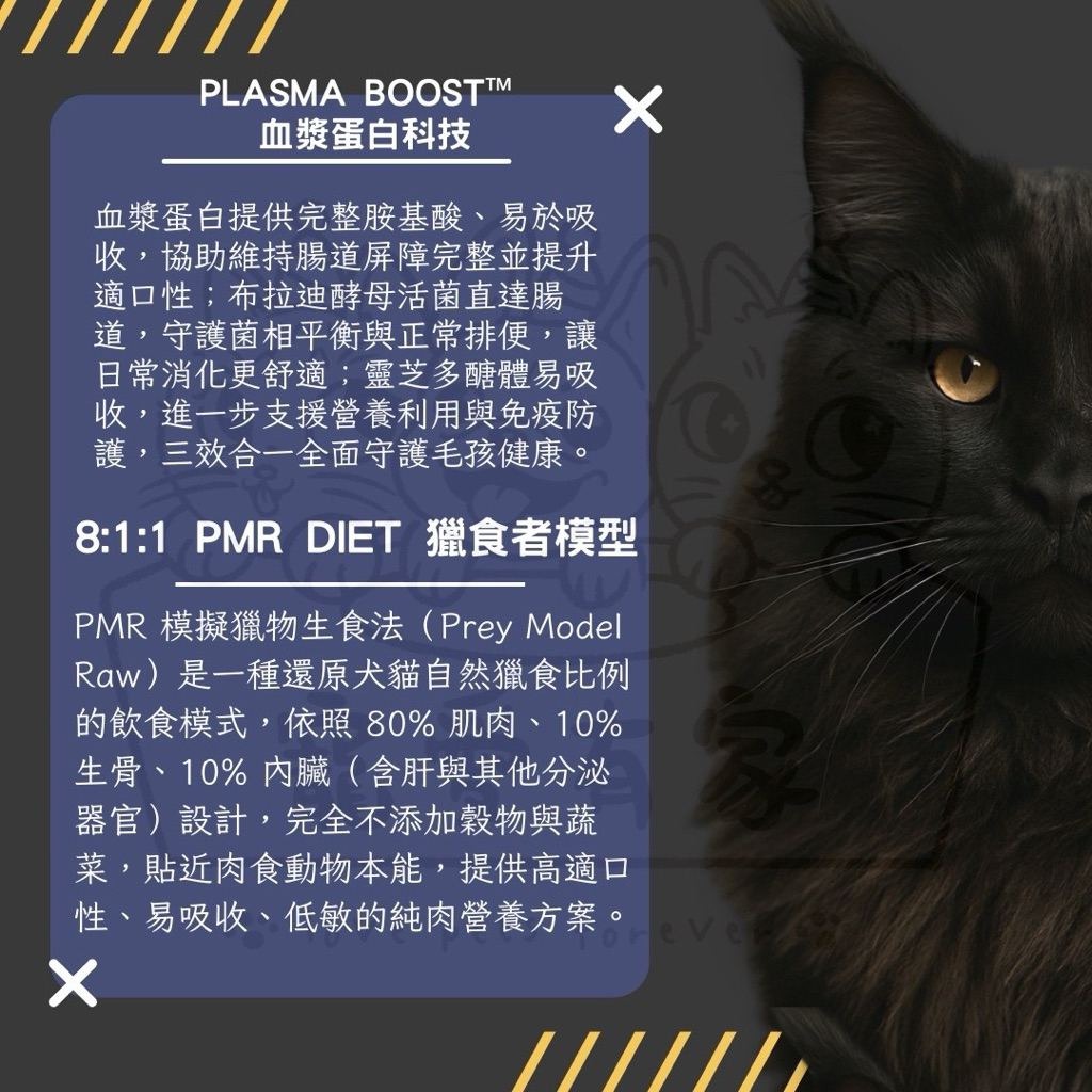 tw-11134207-81zth-mdyx9kah8zrb58