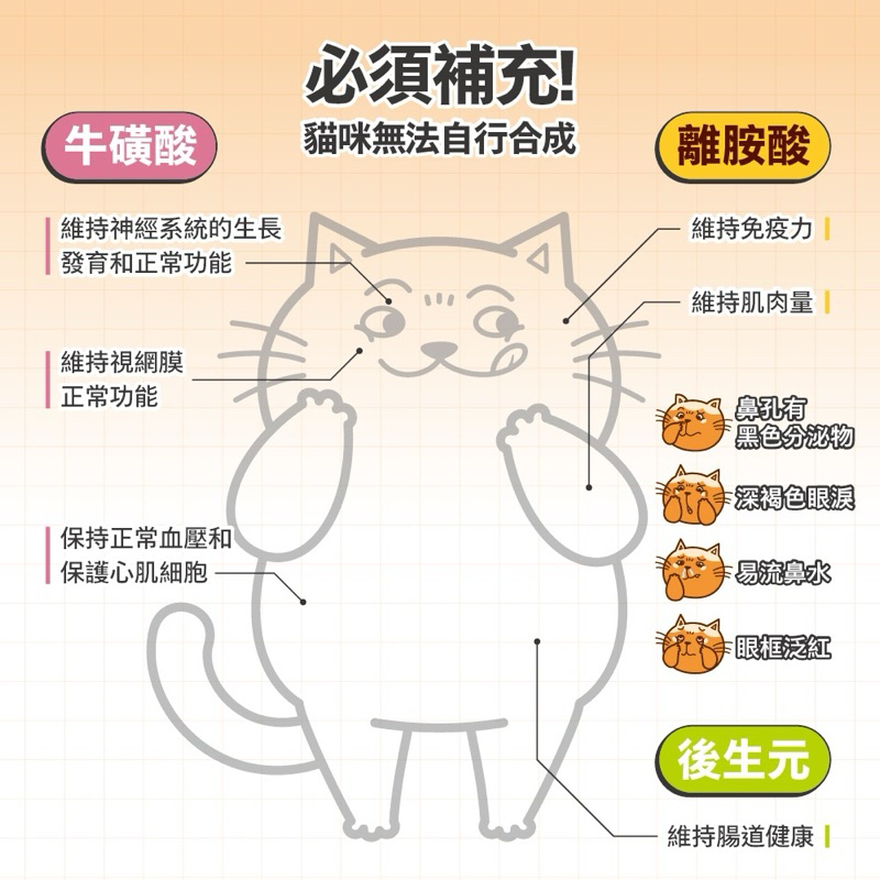 tw-11134207-7r98o-lwpdbbctvt4gbc