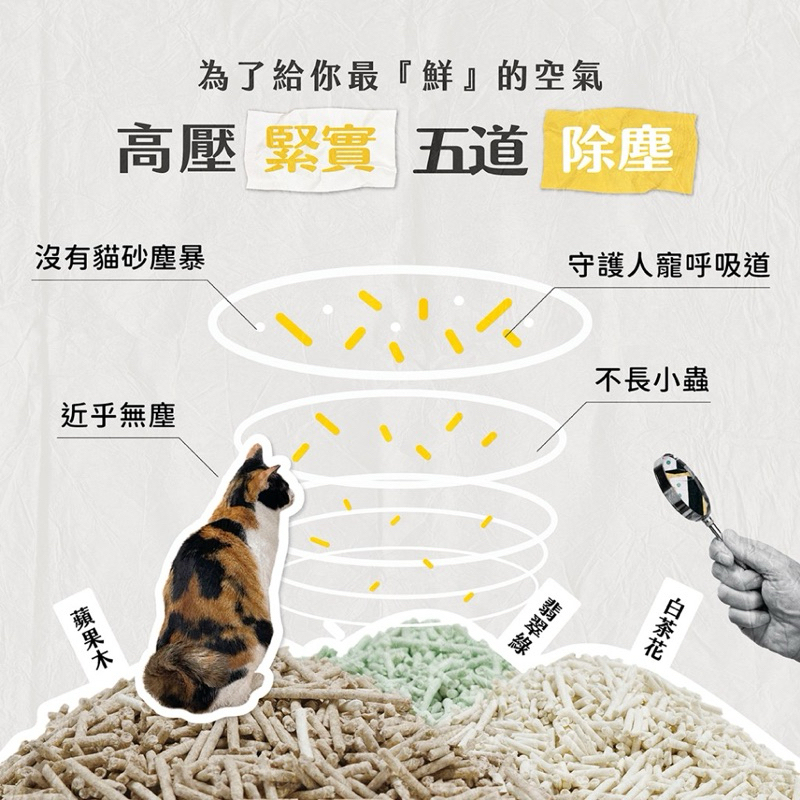 tw-11134207-7r990-lz0xx3caga2cd5