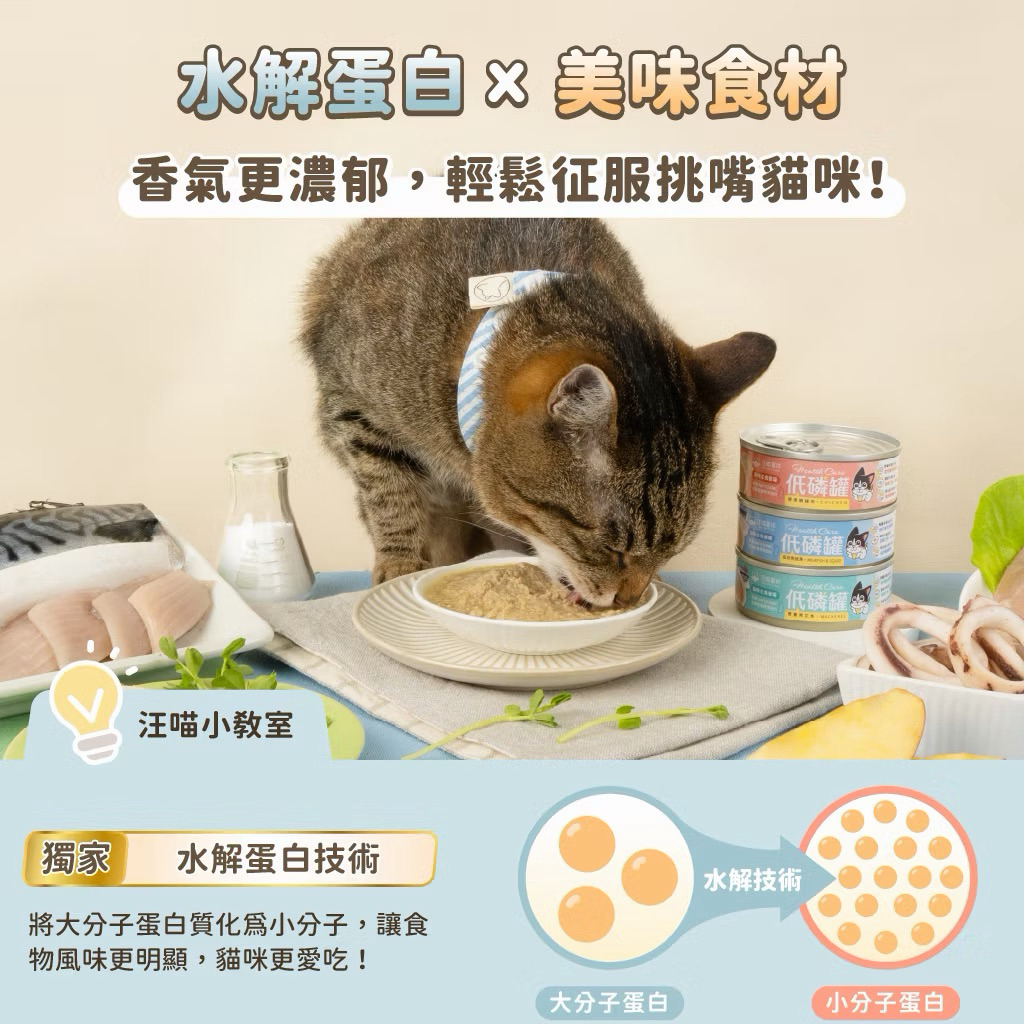 tw-11134207-81ztf-mi67q1v8oow34e