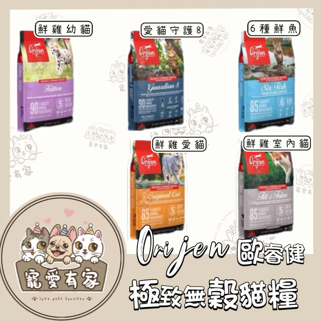 image_2DE84294-F2F4-477D-A252-48E99349BE4B_1767877196