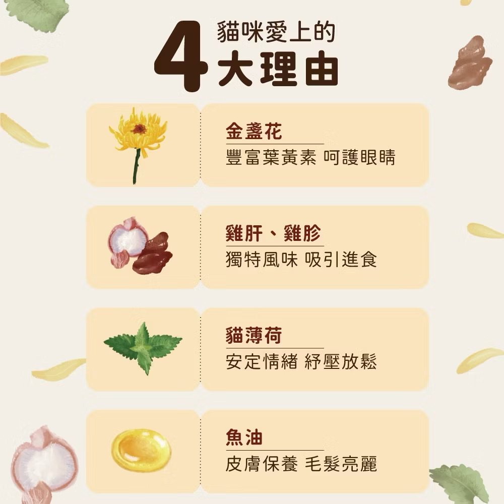 image_889A768D-1947-4B8B-82BE-AB5271527305_1769528385