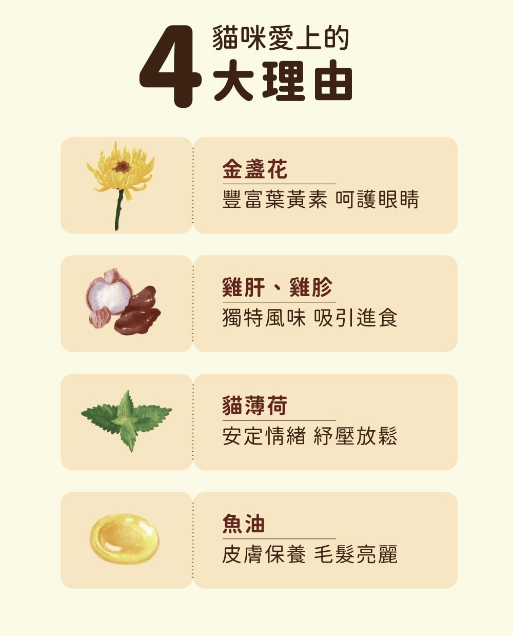 image_CE5DC39A-44B9-4D0C-BC06-E8DCEBC45920_1769528429