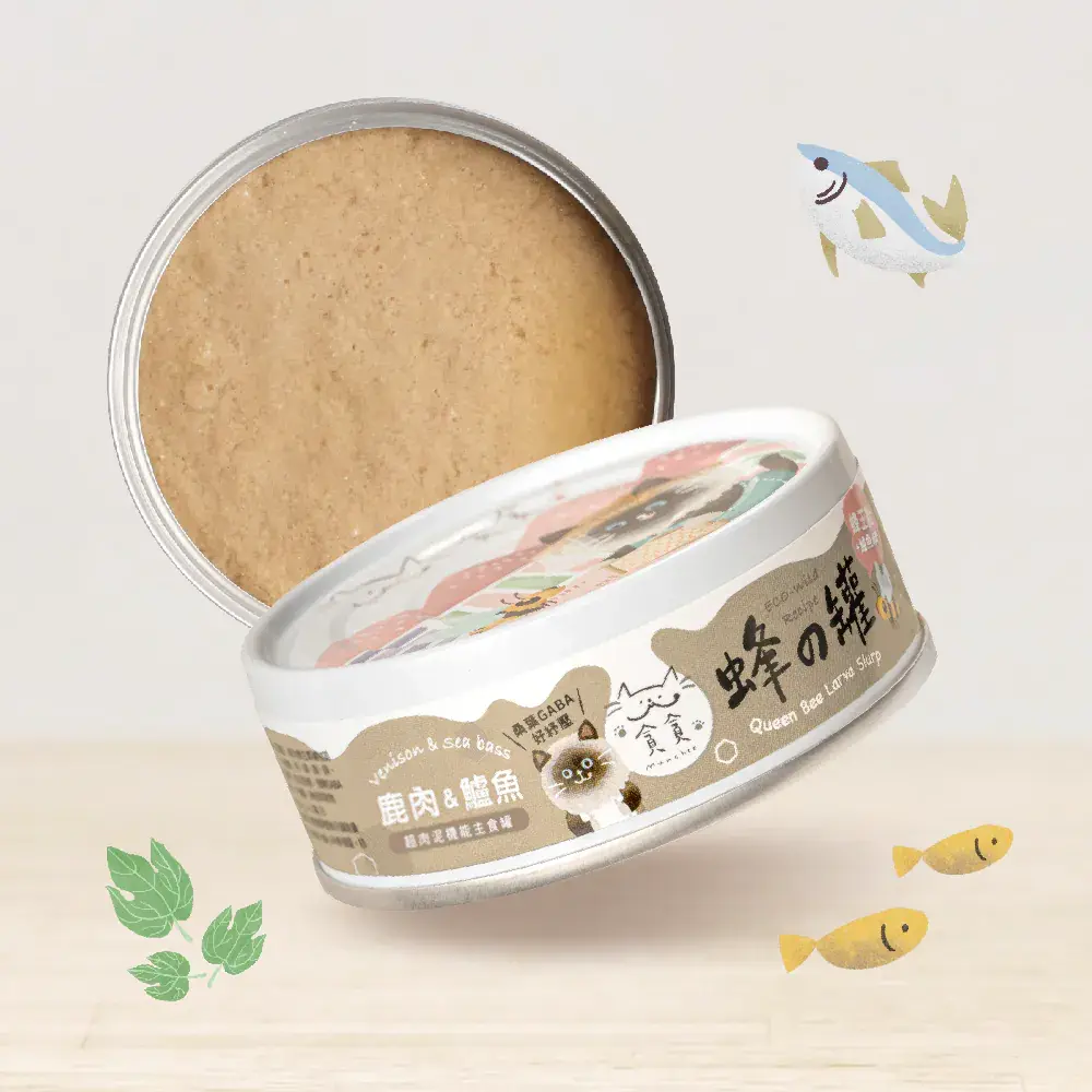 image_CD36141F-6739-4C77-B203-00611D44E9A2_1769989564