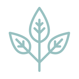 Good for Skin Ingredients