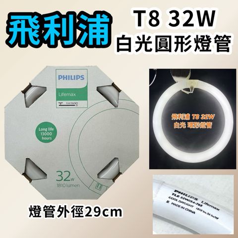 tw-11134207-81ztl-mfcfjmsqzzf3c7