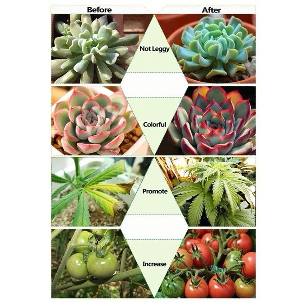 tw-11134207-7rbk4-m82xtibktjqxa8