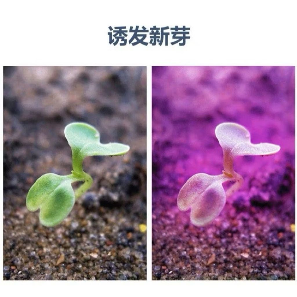 tw-11134207-7rbk3-m82xtibktk9z9c