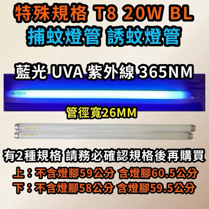 tw-11134207-7ra0n-mchemvq8mayne4