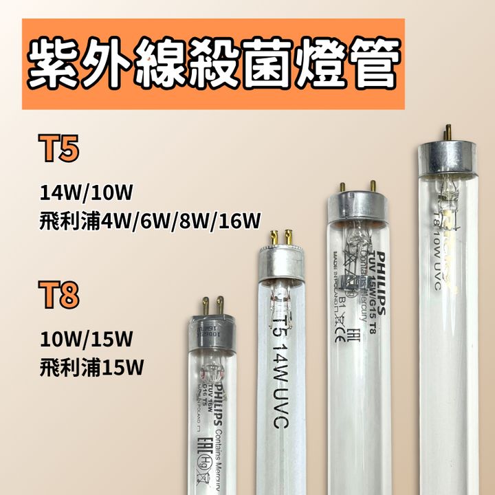tw-11134207-81ztd-mj82u0g21e6e01