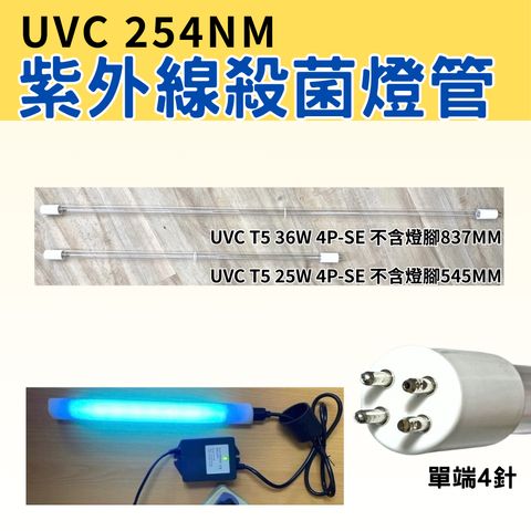 tw-11134207-81ztd-mjf7fz1yz7r95c