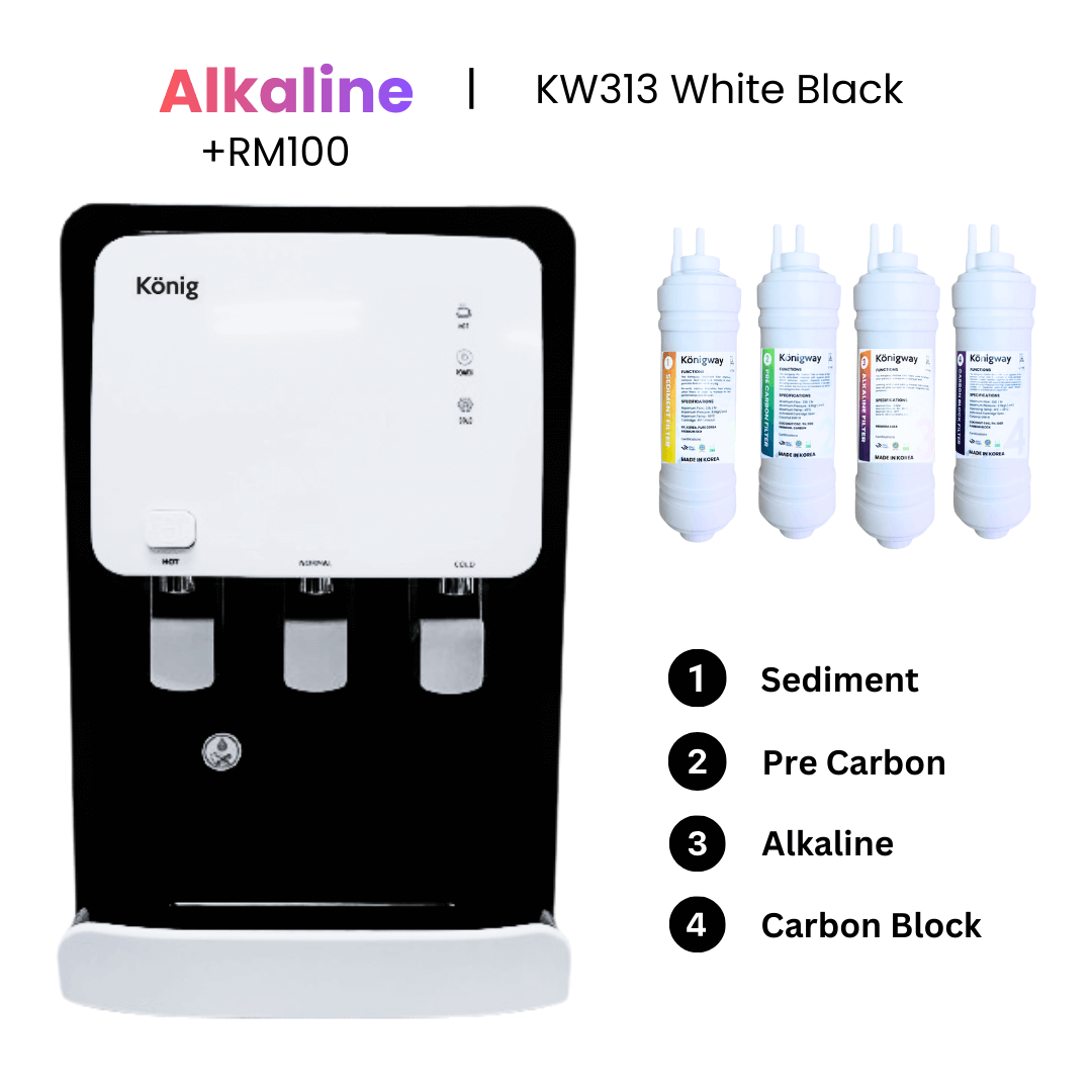 2A Konigway KW313 White Black Alkaline