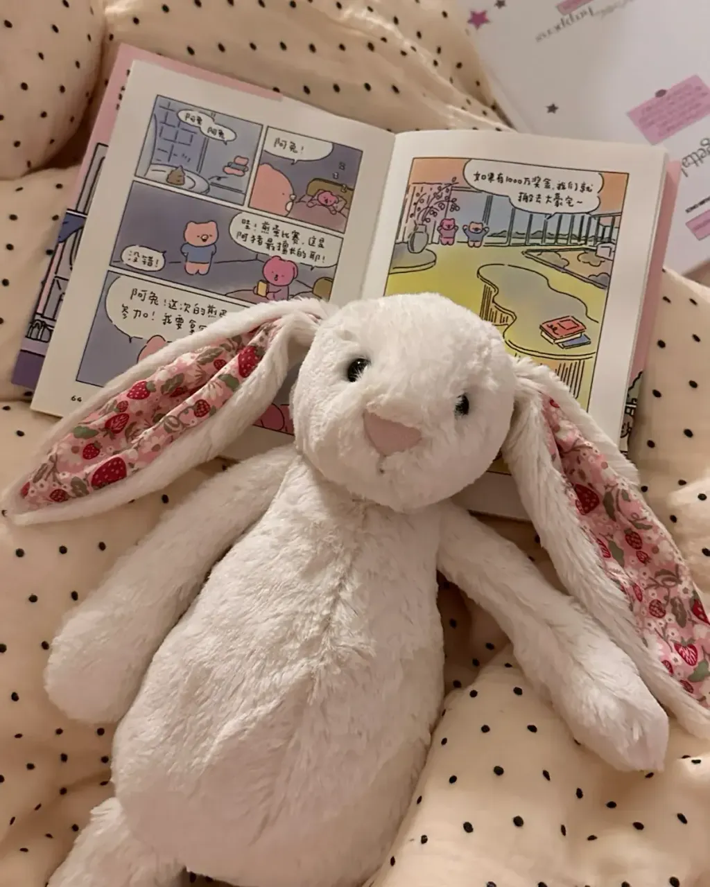 image_0D73700F-A522-459E-9E3C-F2CF30AEFA0E_1776924785