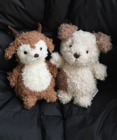 image_009C7BF5-0464-4686-9E21-8CAFD509B177_1776925024