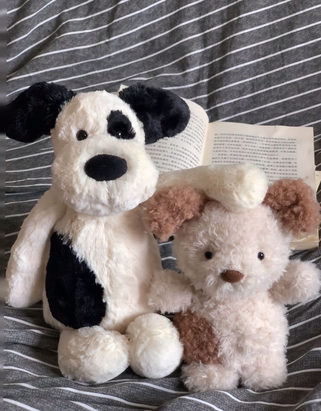 image_CDDC7298-49B4-4F97-9DDC-1B629E5CEF8E_1776925024