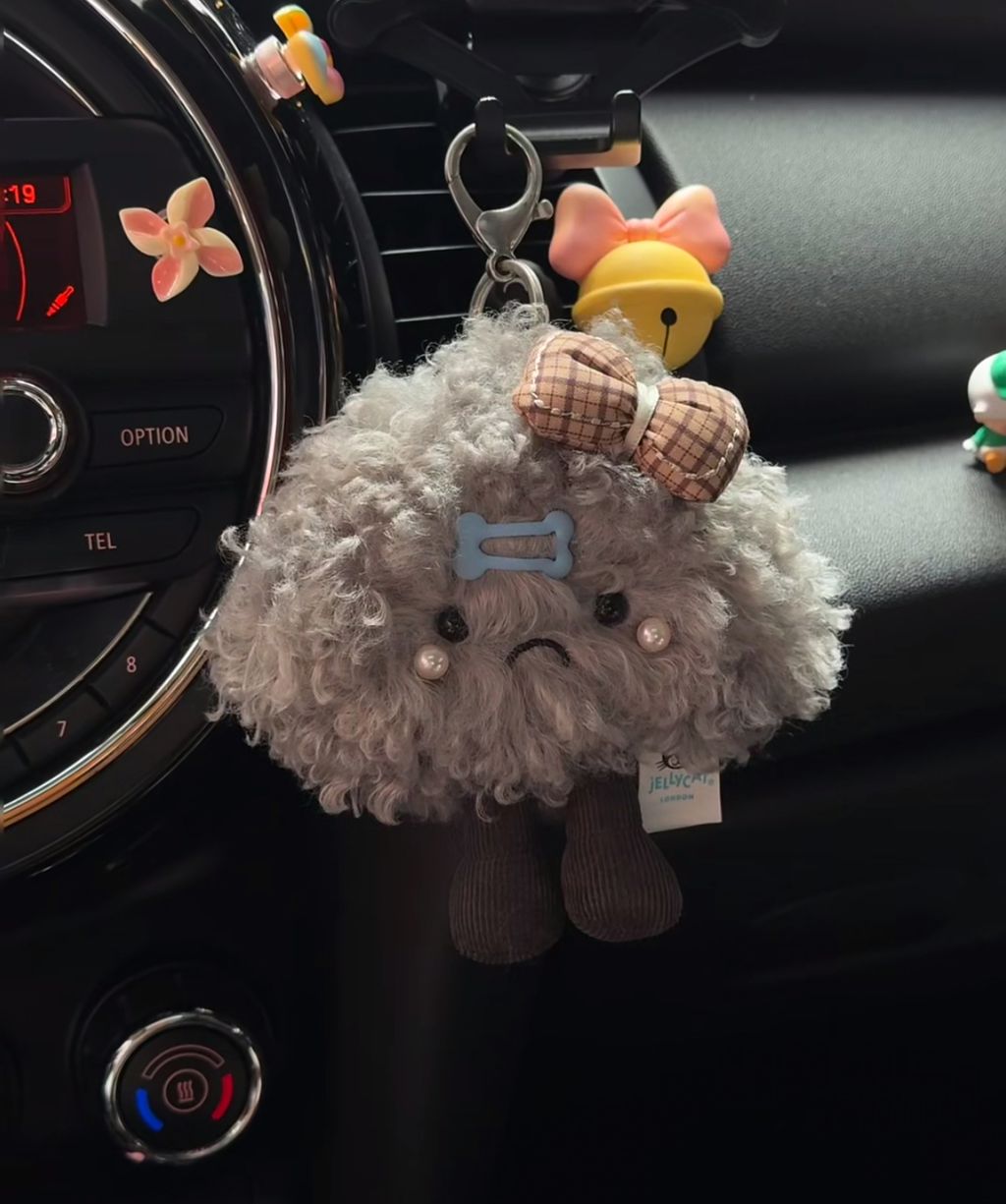 image_57BEE248-4A57-4B40-BE4D-DA01D3065B9D_1776925098