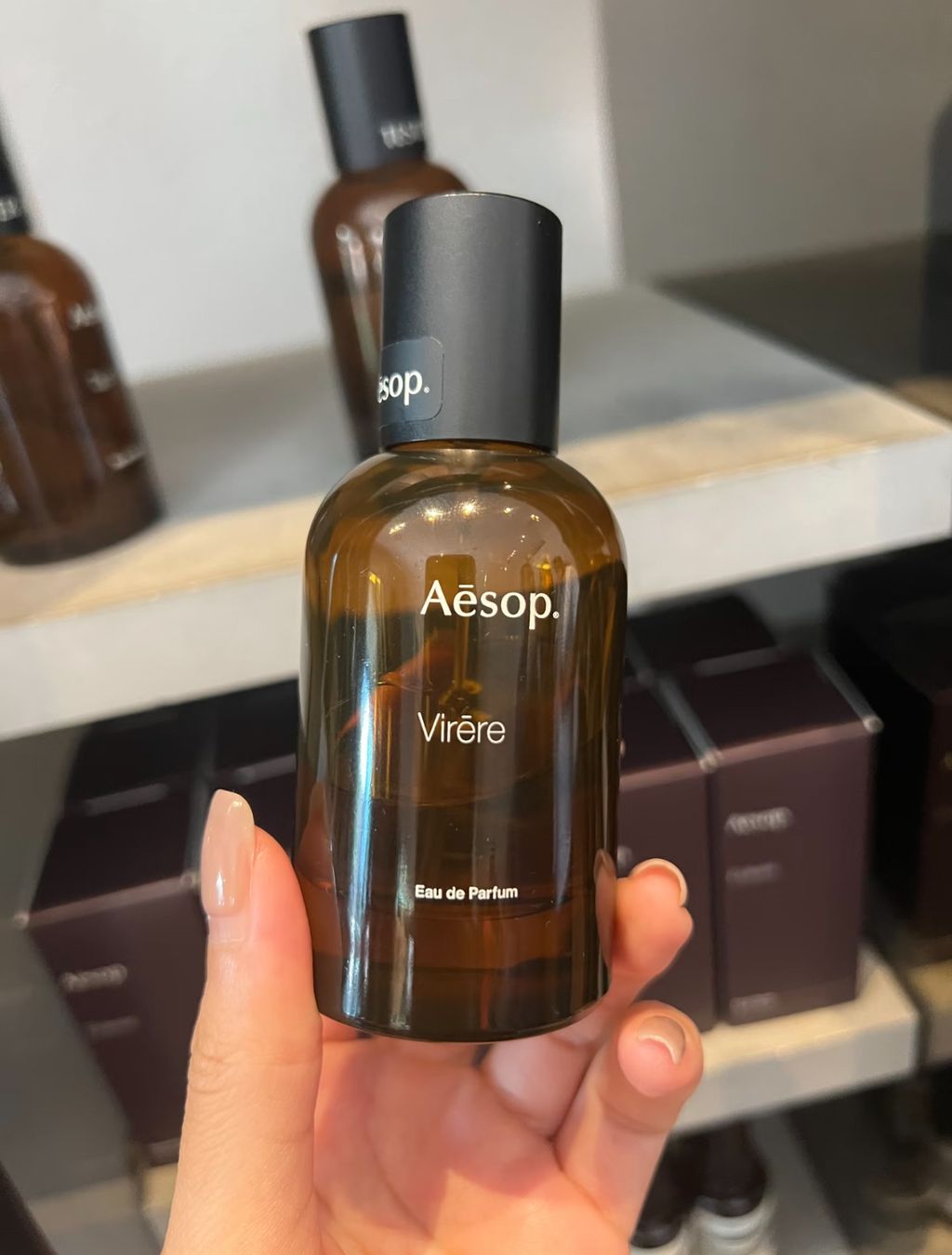 image_494B0DC3-5C66-4F11-B04E-F58E90A4F881_1772024624