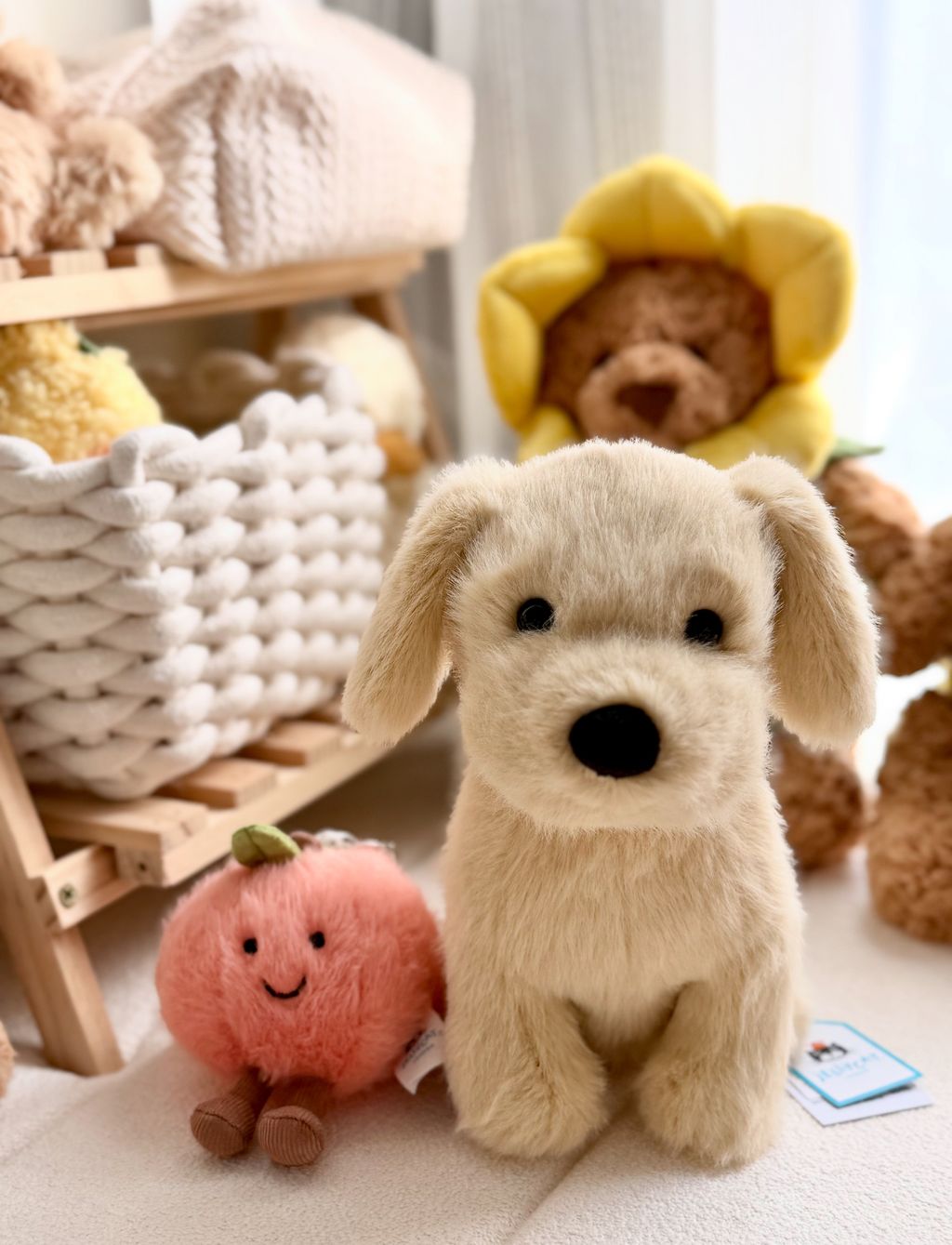 image_B4DB4631-1F74-476D-9FE8-9AB1868510EC_1772183142