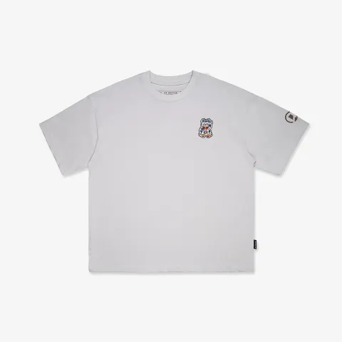 MINDOT-GRY-PP01