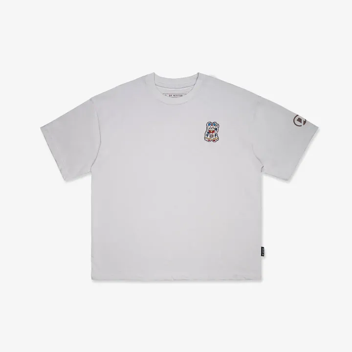 MINDOT-GRY-PP01