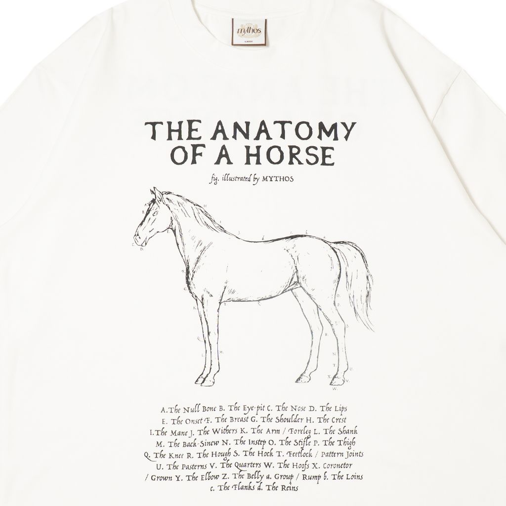 MYTHOS CNY Website 6