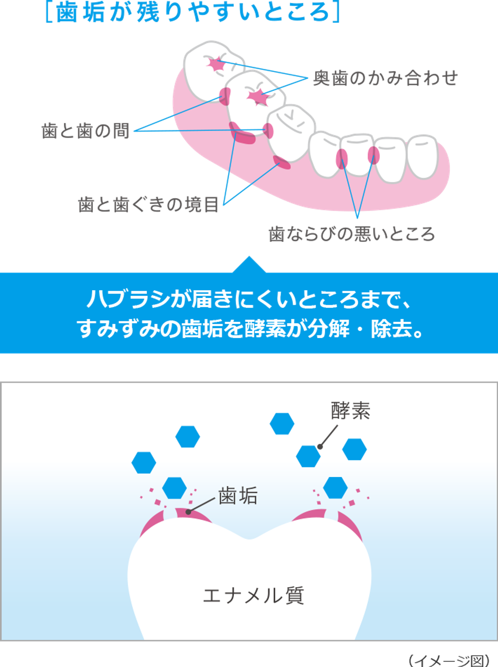 img-pro01_sp
