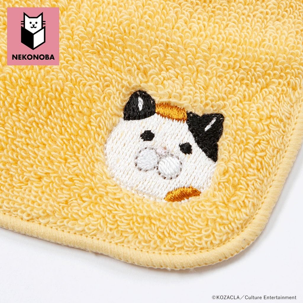 tw-11134207-7rasb-m4ynlpb0xypt15