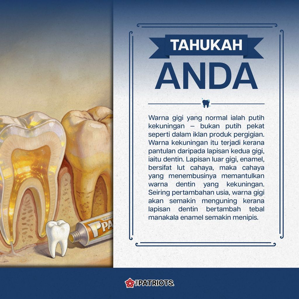 Tahukah Anda 12
