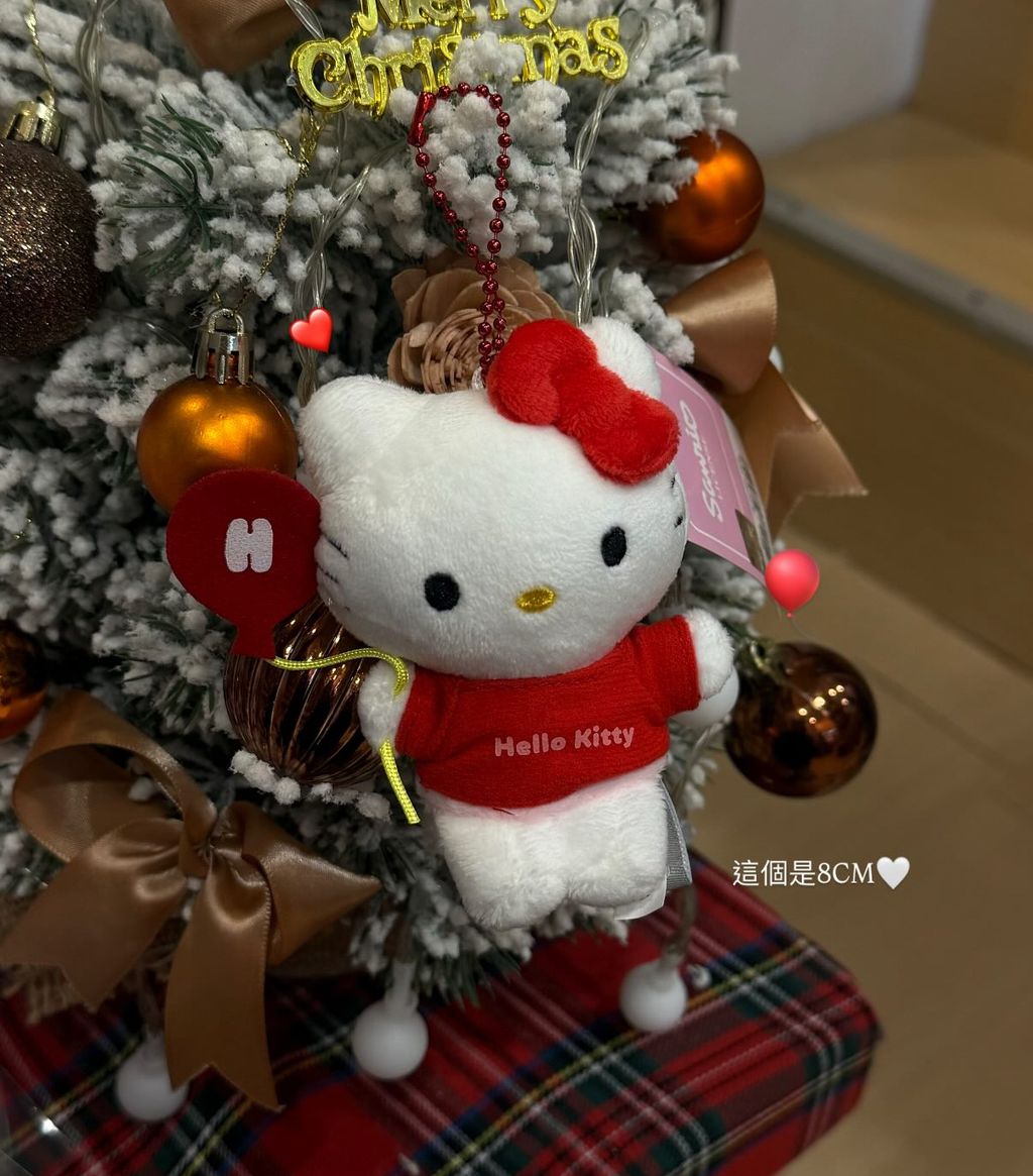 image_A16688CD-DAEA-4B66-8746-692F9ED6CDB0_1765886548