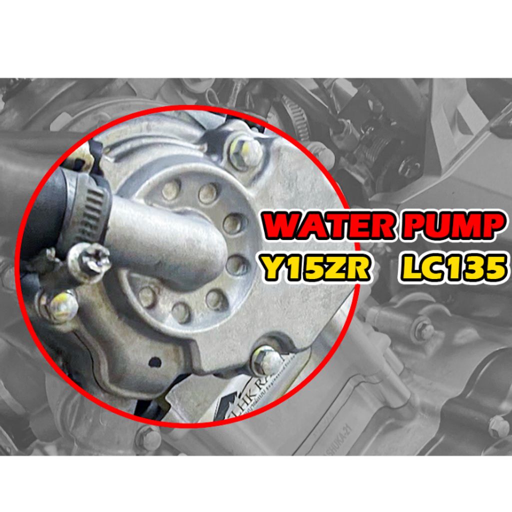 my-11134207-7r98v-lmu5jvm9q36eae