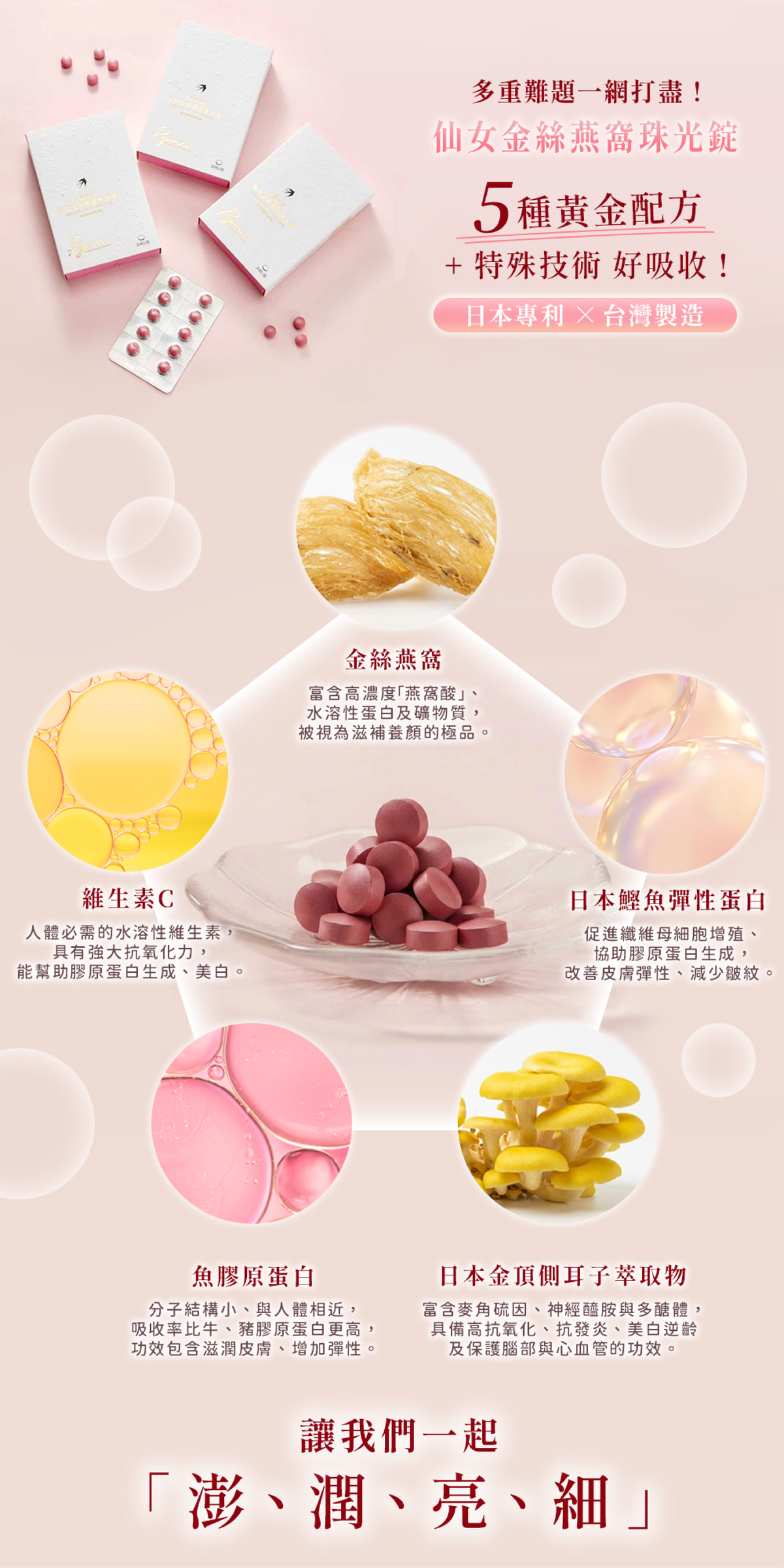 沛婕菈商品圖分塊_工作區域 1 複本