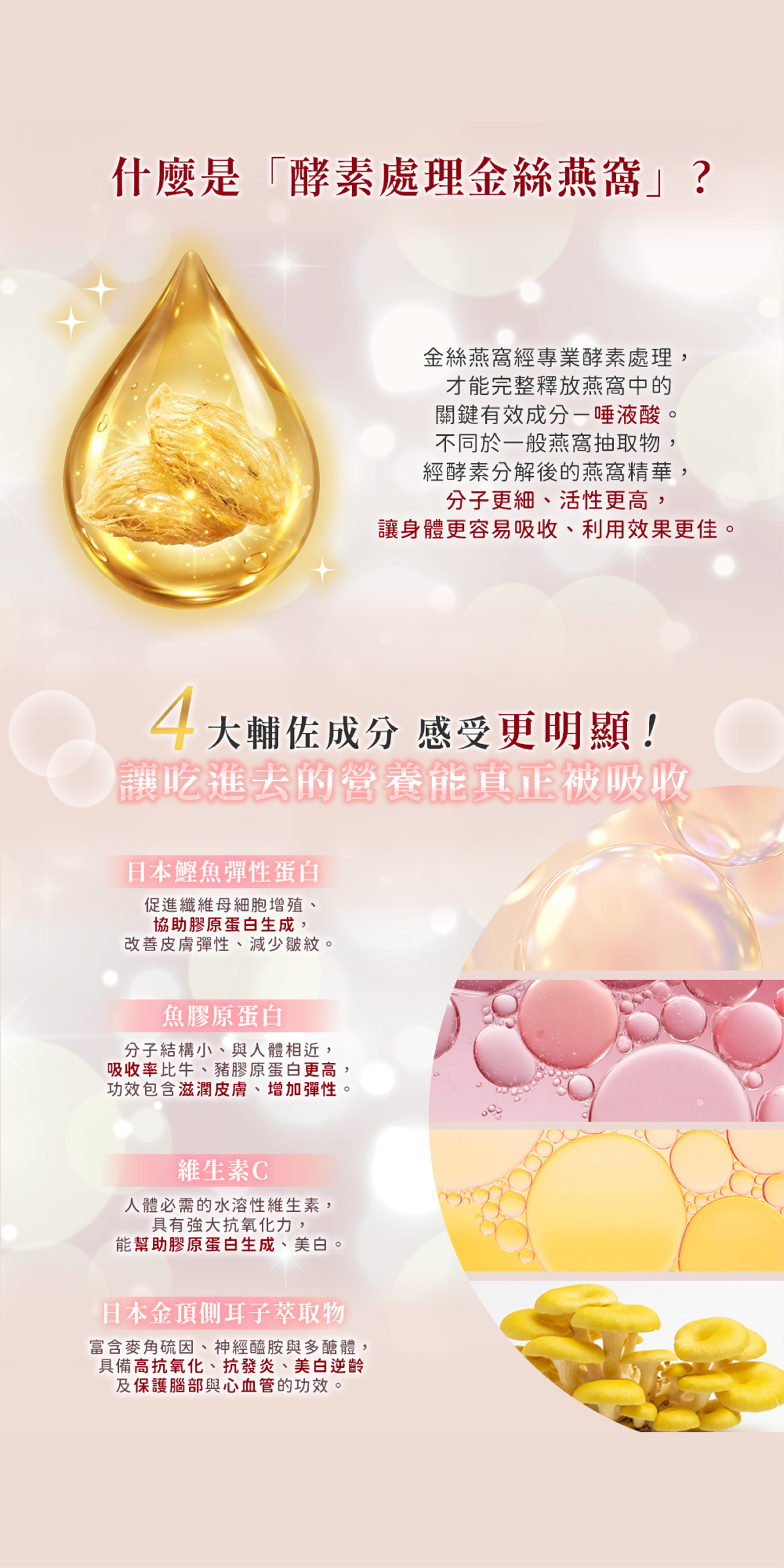沛婕菈商品圖分塊_工作區域 1 複本 3
