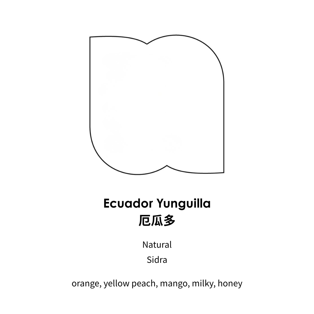 Ecuador Yunguilla