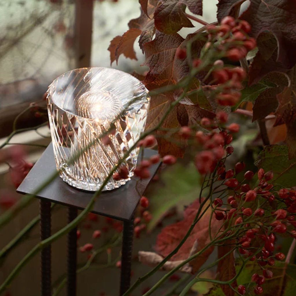 04_情境照_窗邊植栽