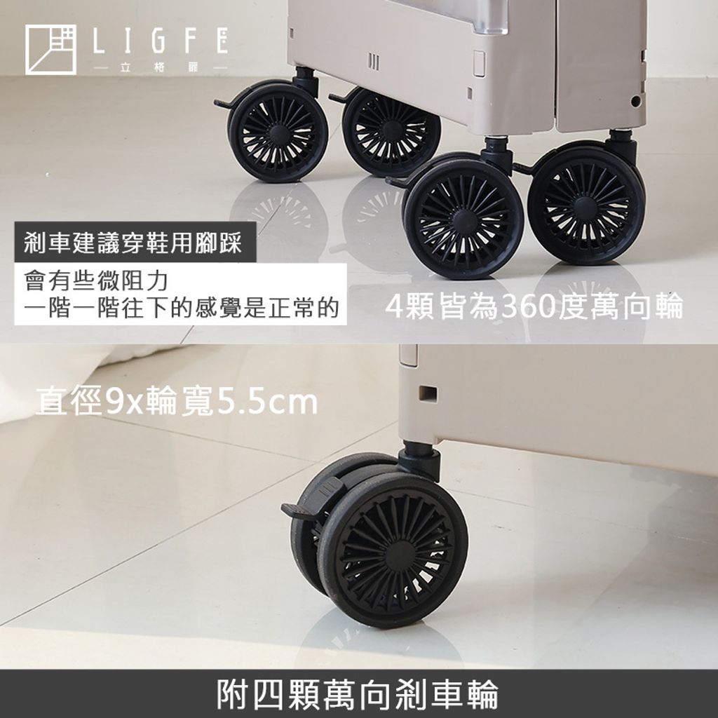 RH2536-MW-6