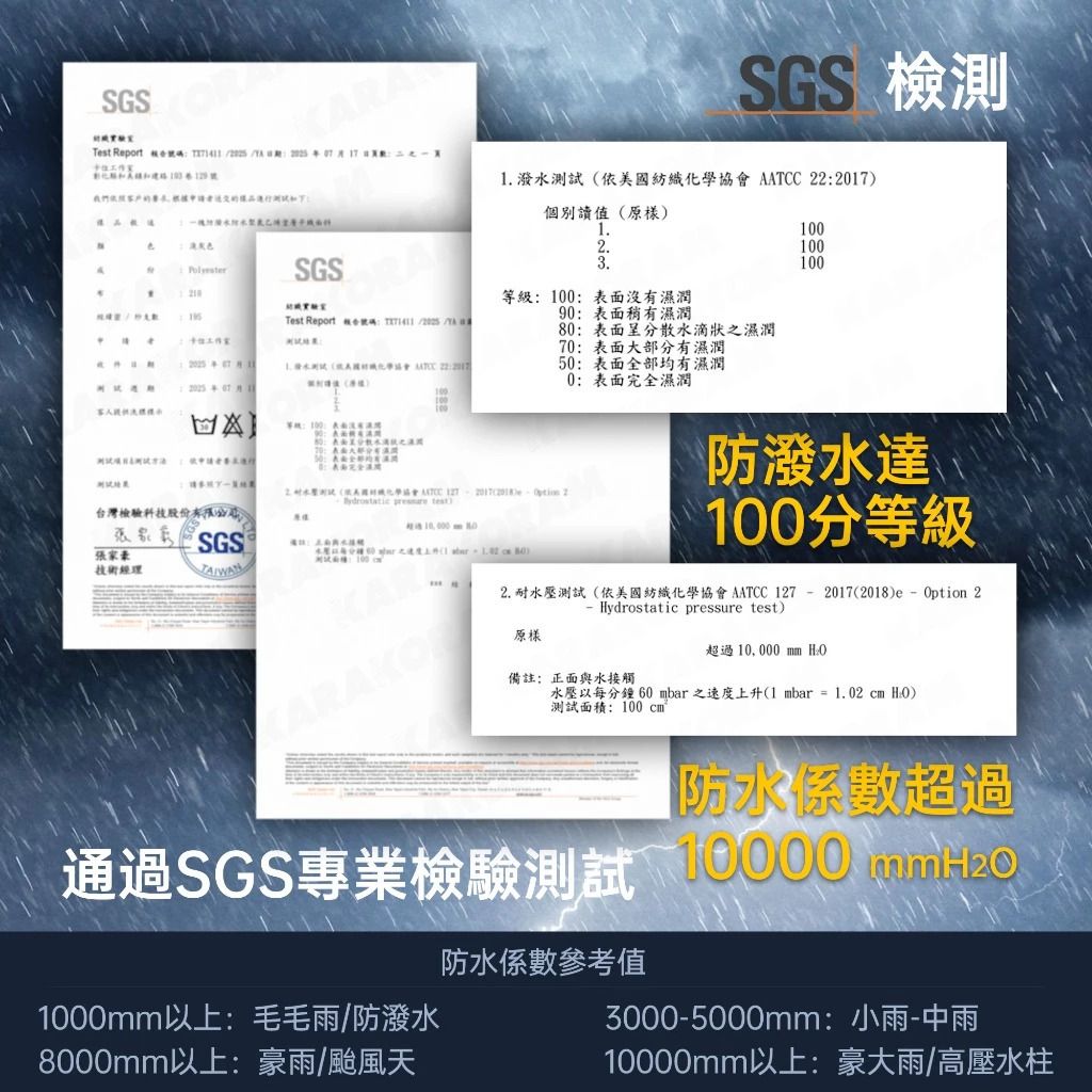 RS2607 (2)