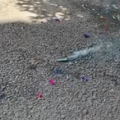 image_9EE1E821-1DA9-496C-87E5-0D1344B77117_1768017518